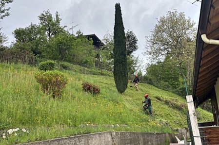 Gartenpflege Rosenheim, Daniel Paul hausmeisterservice-paul, hangflaeche,